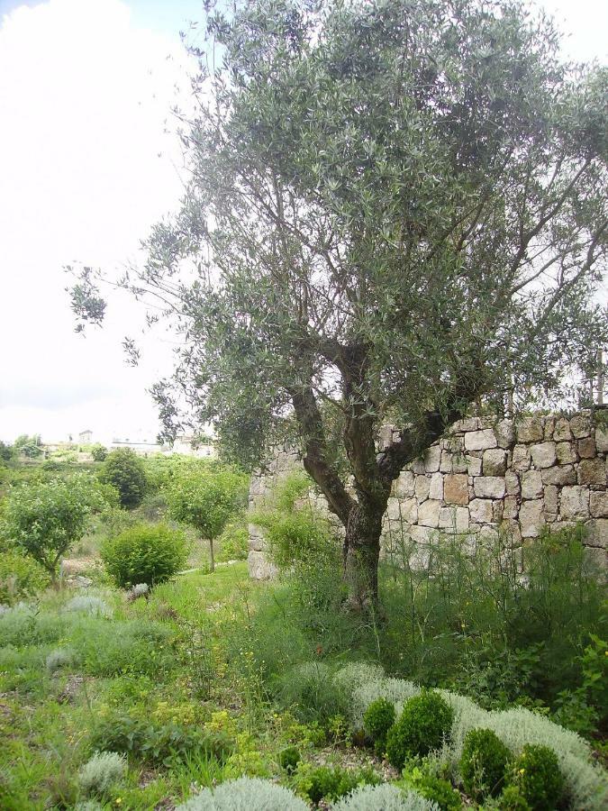 Oportonature Guilhabreu Bagian luar foto